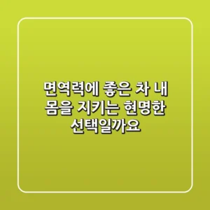 면역력에 좋은 차, 내 몸을 지키는 현명한 선택일까요?