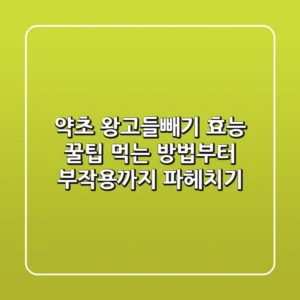 약초 왕고들빼기 효능 꿀팁: 먹는 방법부터 부작용까지 파헤치기