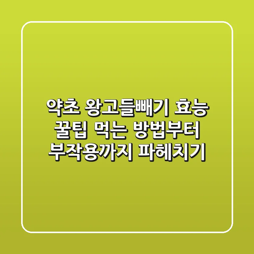 약초 왕고들빼기 효능 꿀팁: 먹는 방법부터 부작용까지 파헤치기