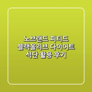 노브랜드 피티드 블랙올리브 다이어트 식단 활용 후기