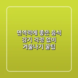 면역력에 좋은 음식: 감기 걱정 없이 겨울나기 꿀팁!