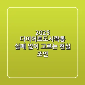 2025 다이어트도시락통, 실패 없이 고르는 현실 조언