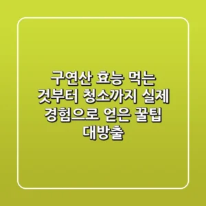 구연산 효능: 먹는 것부터 청소까지, 실제 경험으로 얻은 꿀팁 대방출