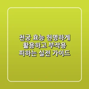 천궁 효능, 현명하게 활용하고 부작용 피하는 실전 가이드