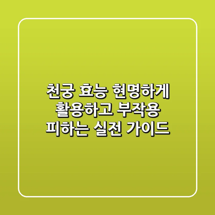 천궁 효능, 현명하게 활용하고 부작용 피하는 실전 가이드