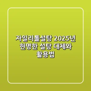 자일리톨설탕, 2025년 현명한 설탕 대체와 활용법