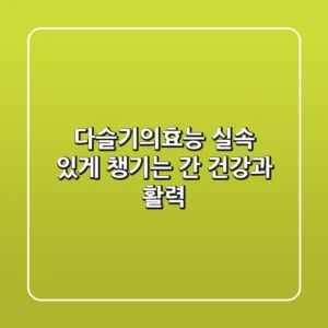 다슬기의효능: 실속 있게 챙기는 간 건강과 활력