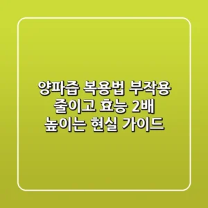 양파즙 복용법, 부작용 줄이고 효능 2배 높이는 현실 가이드