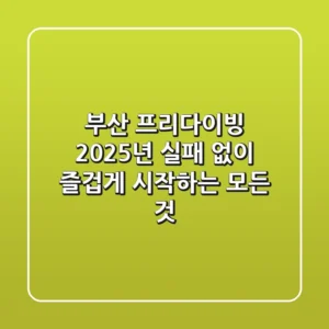 부산 프리다이빙, 2025년 실패 없이 즐겁게 시작하는 모든 것!