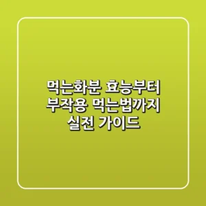 먹는화분, 효능부터 부작용, 먹는법까지 실전 가이드