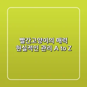 빨간고양이의 매력, 현실적인 관리 A to Z