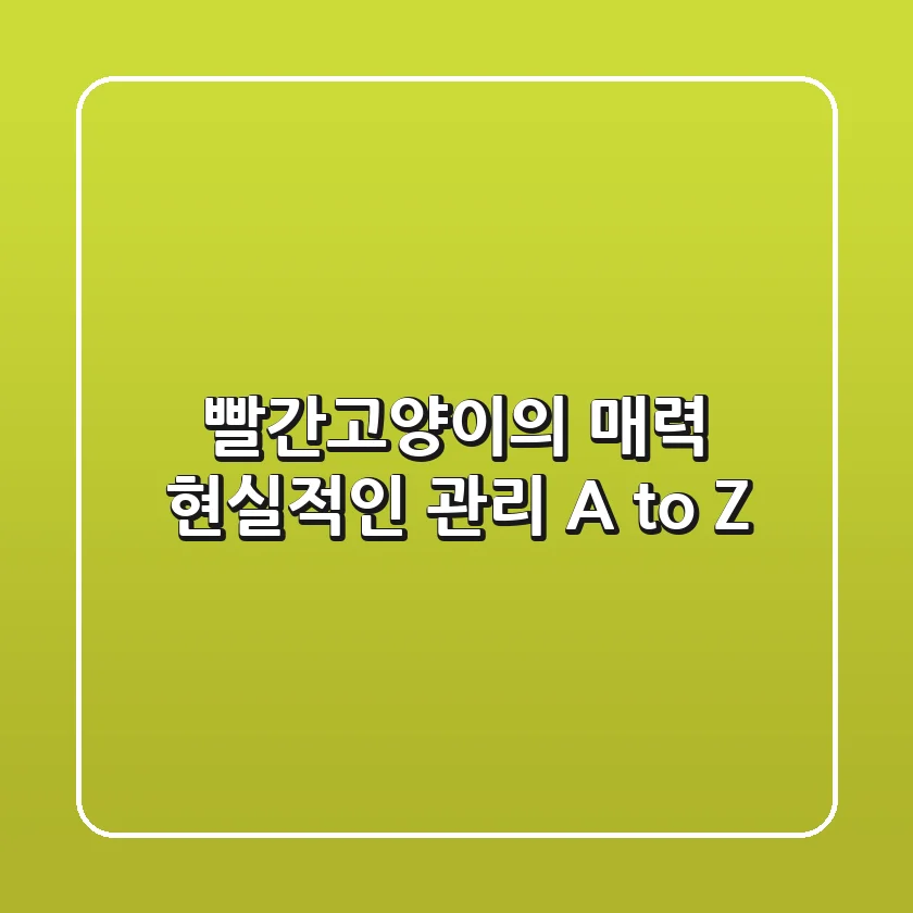 빨간고양이의 매력, 현실적인 관리 A to Z