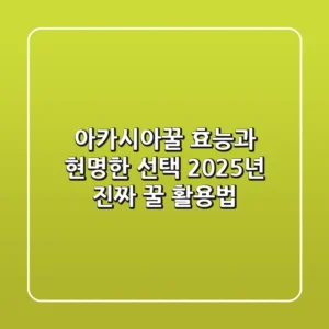 아카시아꿀 효능과 현명한 선택: 2025년, 진짜 꿀 활용법
