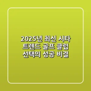 2025년 최신 시타 트렌드, 골프 클럽 선택의 성공 비결