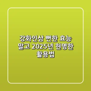 강화인삼, 뻔한 효능 말고 2025년 현명한 활용법