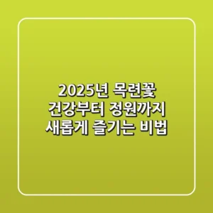 2025년 목련꽃, 건강부터 정원까지 새롭게 즐기는 비법