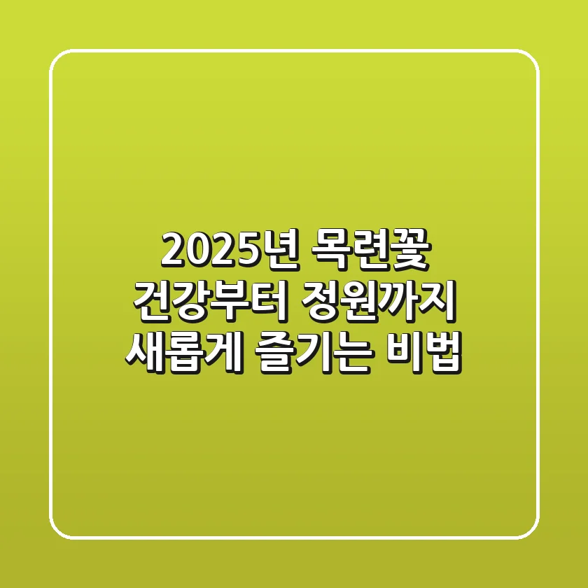 2025년 목련꽃, 건강부터 정원까지 새롭게 즐기는 비법