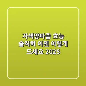 자색양파즙 효능, 솔직히 이젠 이렇게 드세요 (2025)