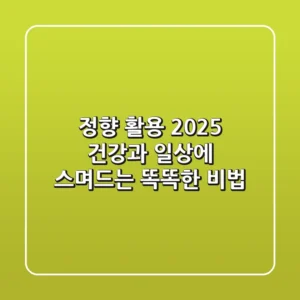정향 활용 2025: 건강과 일상에 스며드는 똑똑한 비법