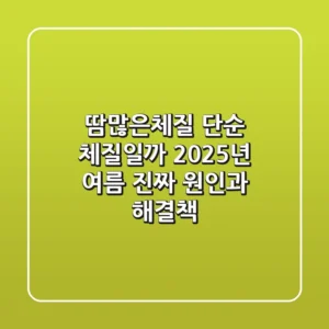 땀많은체질, 단순 체질일까? 2025년 여름, 진짜 원인과 해결책