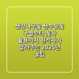 생강나무꽃, 산수유꽃 구별부터 꽃차 활용까지! 현직자가 알려주는 2025년 꿀팁