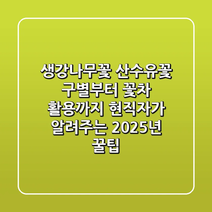 생강나무꽃, 산수유꽃 구별부터 꽃차 활용까지! 현직자가 알려주는 2025년 꿀팁