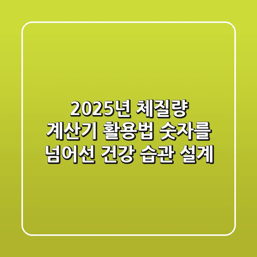 2025년 체질량 계산기 활용법: 숫자를 넘어선 건강 습관 설계