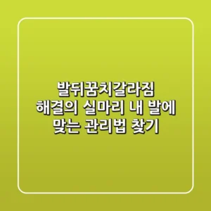 발뒤꿈치갈라짐, 해결의 실마리: 내 발에 맞는 관리법 찾기