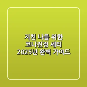 지친 나를 위한 코나진정 세티: 2025년 완벽 가이드