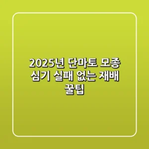 2025년 단마토 모종 심기: 실패 없는 재배 꿀팁!