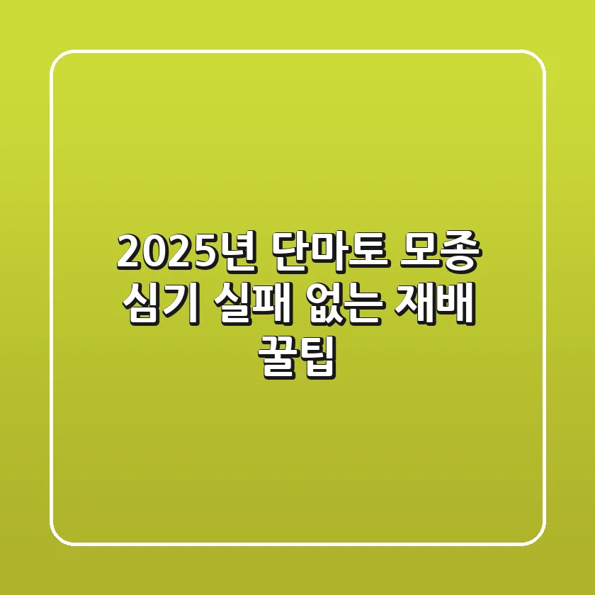2025년 단마토 모종 심기: 실패 없는 재배 꿀팁!