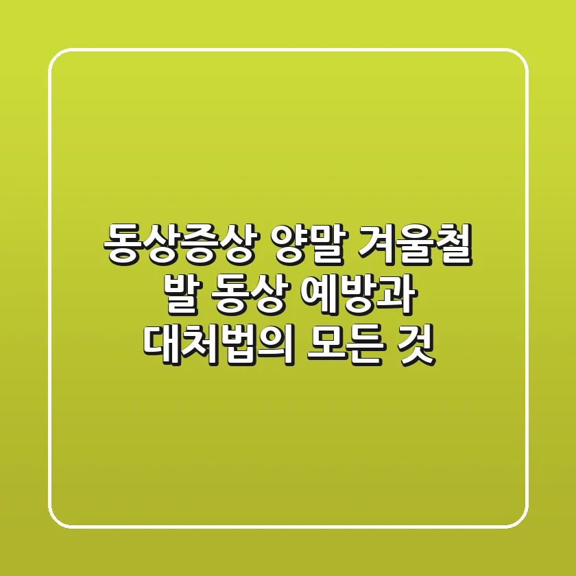 동상증상 양말: 겨울철 발 동상 예방과 대처법의 모든 것