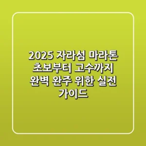 2025 자라섬 마라톤, 초보부터 고수까지 완벽 완주 위한 실전 가이드
