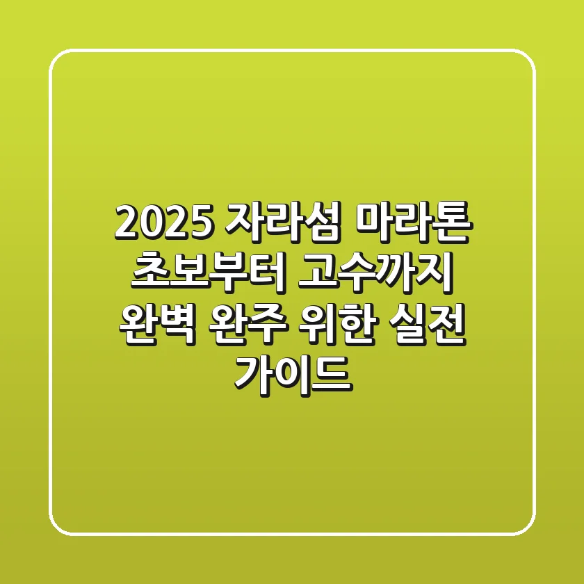 2025 자라섬 마라톤, 초보부터 고수까지 완벽 완주 위한 실전 가이드