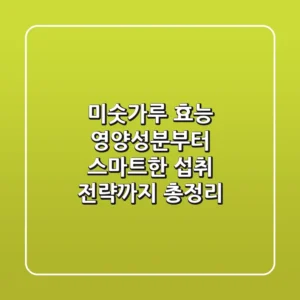 미숫가루 효능, 영양성분부터 스마트한 섭취 전략까지 총정리!