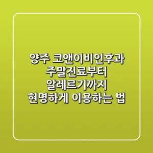 양주 코앤이비인후과, 주말진료부터 알레르기까지 현명하게 이용하는 법