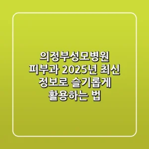 의정부성모병원 피부과, 2025년 최신 정보로 슬기롭게 활용하는 법