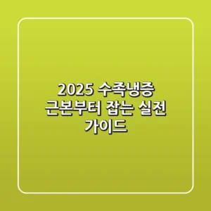 2025 수족냉증: 근본부터 잡는 실전 가이드