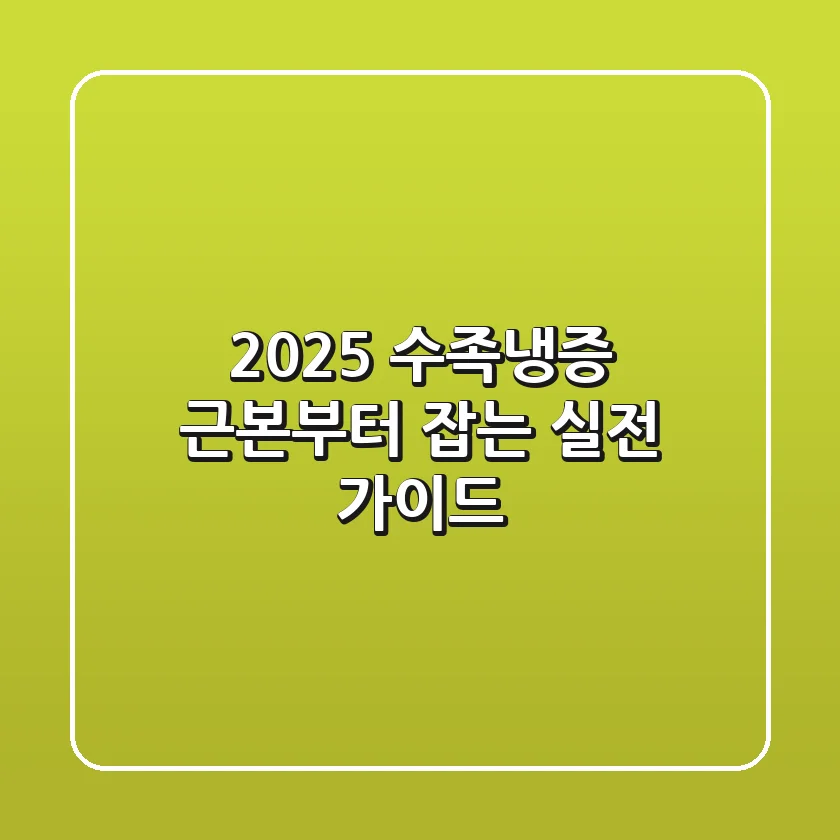 2025 수족냉증: 근본부터 잡는 실전 가이드