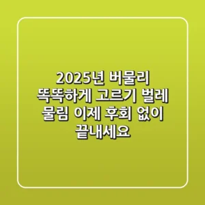 2025년 버물리 똑똑하게 고르기: 벌레 물림, 이제 후회 없이 끝내세요!