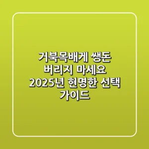거북목배게, 쌩돈 버리지 마세요! 2025년 현명한 선택 가이드
