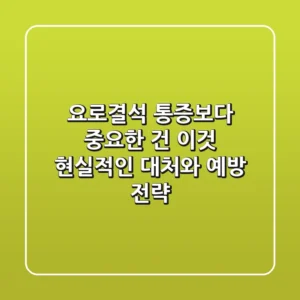 요로결석, 통증보다 중요한 건 이것! 현실적인 대처와 예방 전략