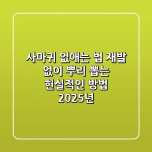사마귀 없애는 법, 재발 없이 뿌리 뽑는 현실적인 방법 (2025년)