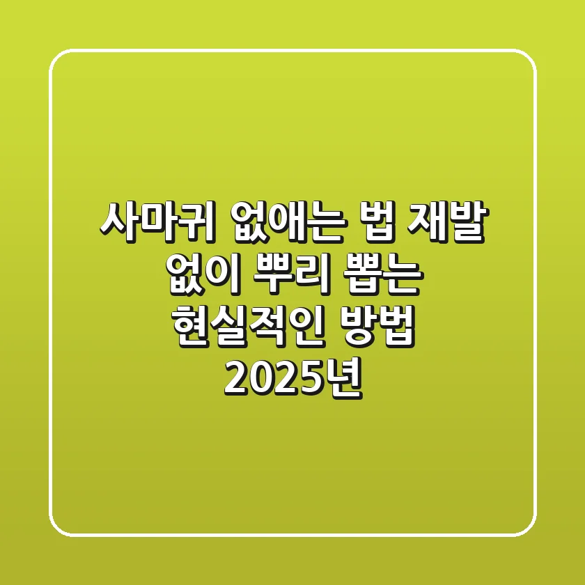 사마귀 없애는 법, 재발 없이 뿌리 뽑는 현실적인 방법 (2025년)