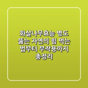 화살나무효능, 병도 뚫는 자연의 힘! 먹는 법부터 부작용까지 총정리