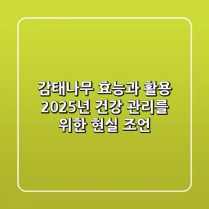 감태나무 효능과 활용, 2025년 건강 관리를 위한 현실 조언