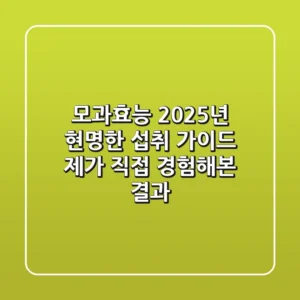 모과효능, 2025년 현명한 섭취 가이드: 제가 직접 경험해본 결과!