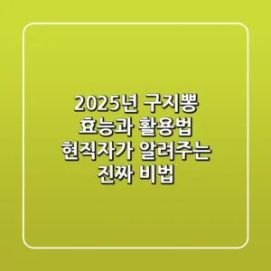 2025년 구지뽕 효능과 활용법: 현직자가 알려주는 진짜 비법