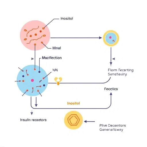 이노시톨 섭취 시 발생할 수 있는 부작용과 관리 방안