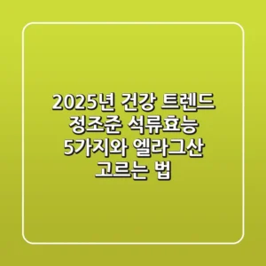 "2025년 건강 트렌드 정조준", 석류효능 5가지와 엘라그산 고르는 법